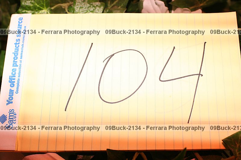 Proof 09buck-2134