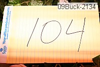 09buck-2134 proof