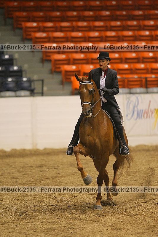 Proof 09buck-2135