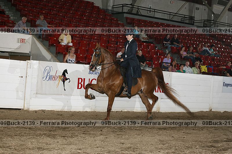 Proof 09buck-2139