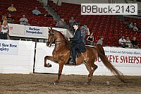 09buck-2143 proof