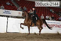 09buck-2144 proof