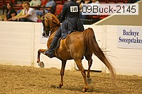 09buck-2145 proof
