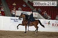 09buck-2146 proof