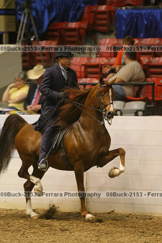 Proof 09buck-2153
