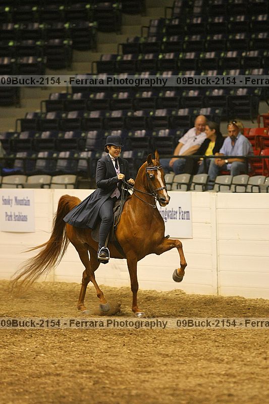 Proof 09buck-2154
