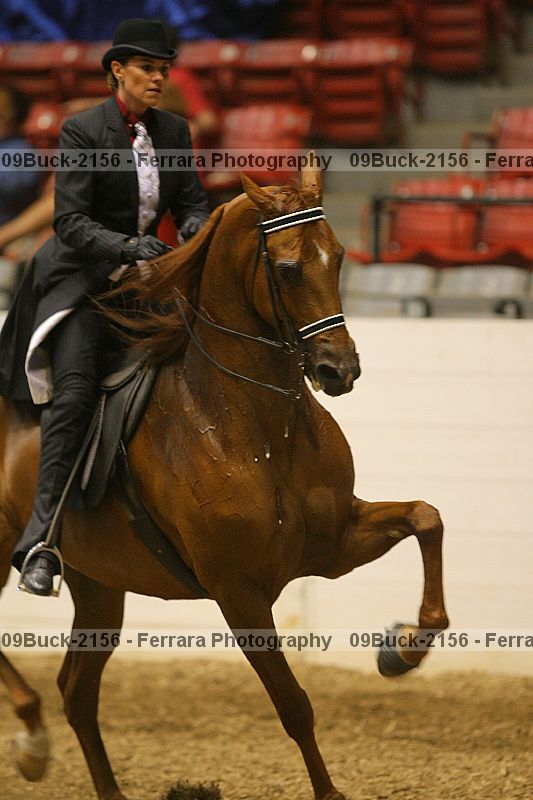 Proof 09buck-2156