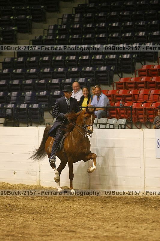 Proof 09buck-2157