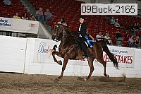 09buck-2165 proof