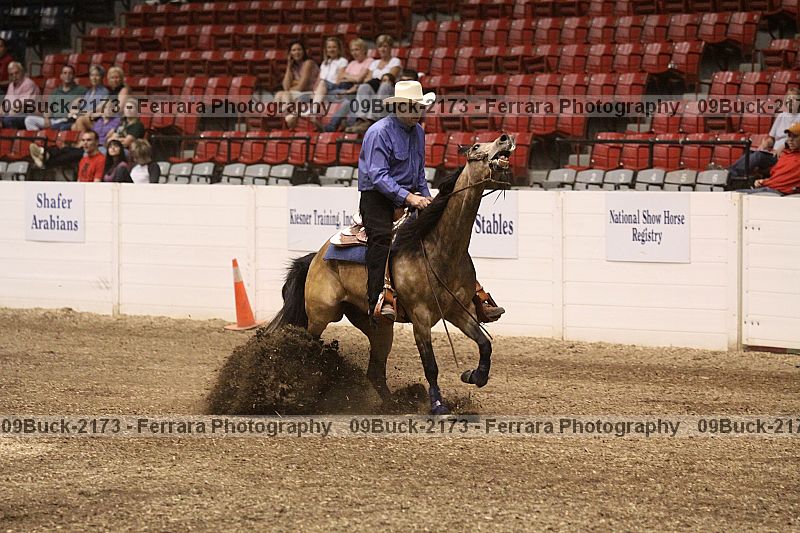 Proof 09buck-2173