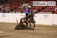 09buck-2173 proof