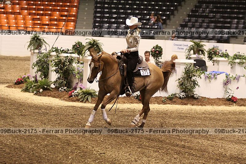 Proof 09buck-2175