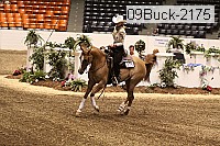 09buck-2175 proof