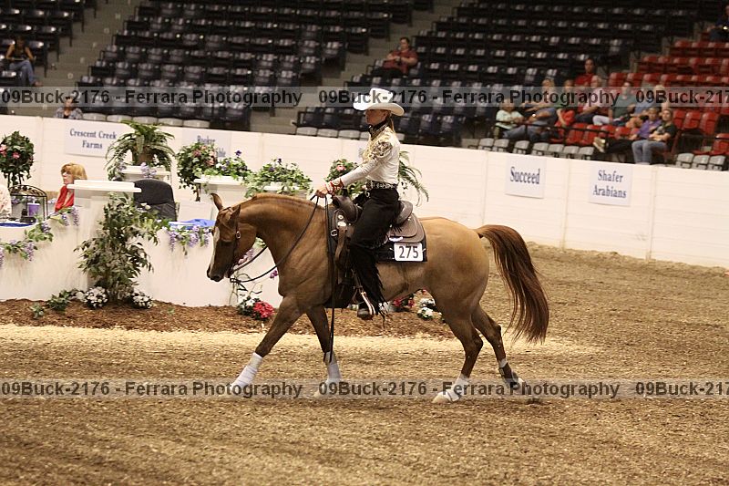 Proof 09buck-2176