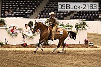 09buck-2183 proof