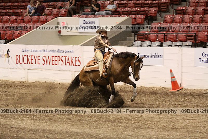 Proof 09buck-2184