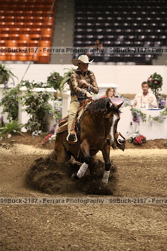 Proof 09buck-2187