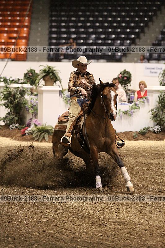 Proof 09buck-2188