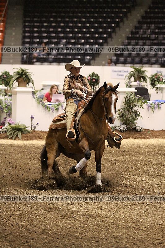 Proof 09buck-2189