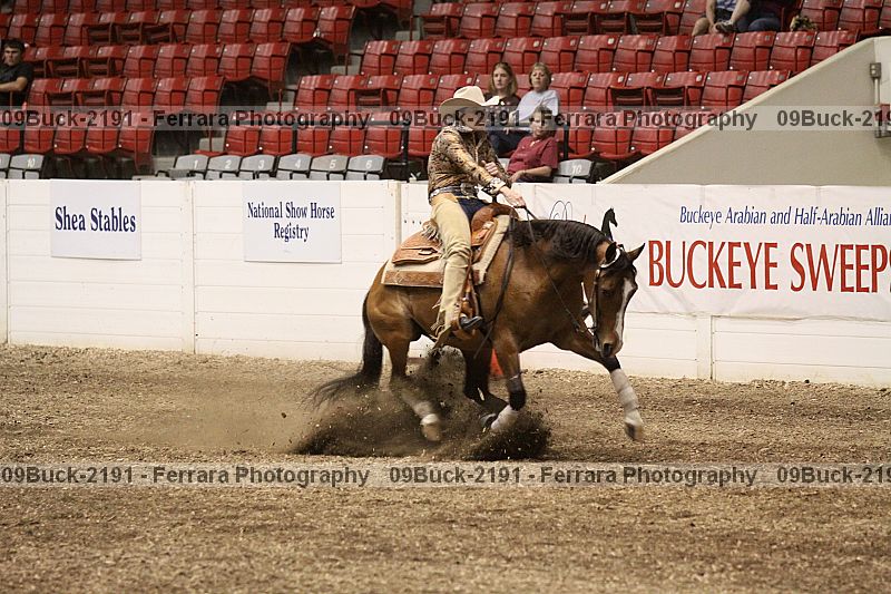 Proof 09buck-2191
