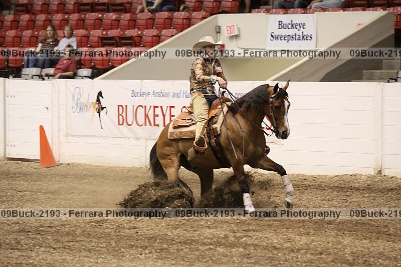 Proof 09buck-2193