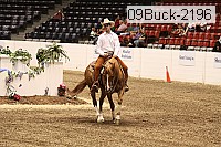 09buck-2196 proof