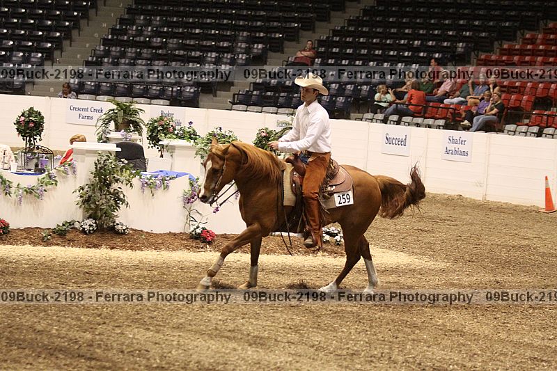 Proof 09buck-2198