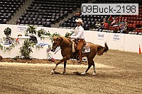 09buck-2198 proof