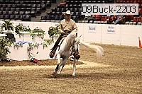 09buck-2203 proof