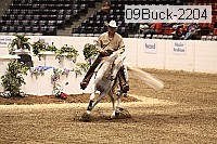 09buck-2204 proof