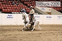 09buck-2209 proof