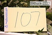 09buck-2222 proof