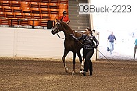 09buck-2223 proof