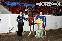 09buck-2228 proof