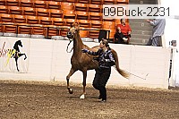 09buck-2231 proof