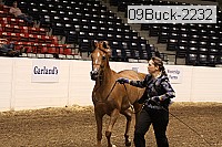09buck-2232 proof