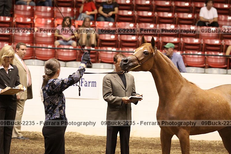 Proof 09buck-2235