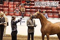 09buck-2235 proof
