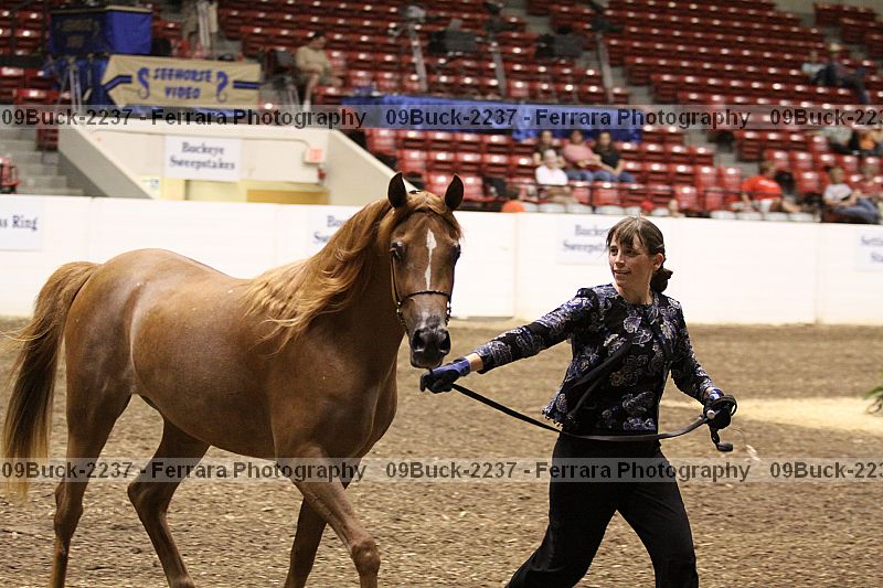 Proof 09buck-2237