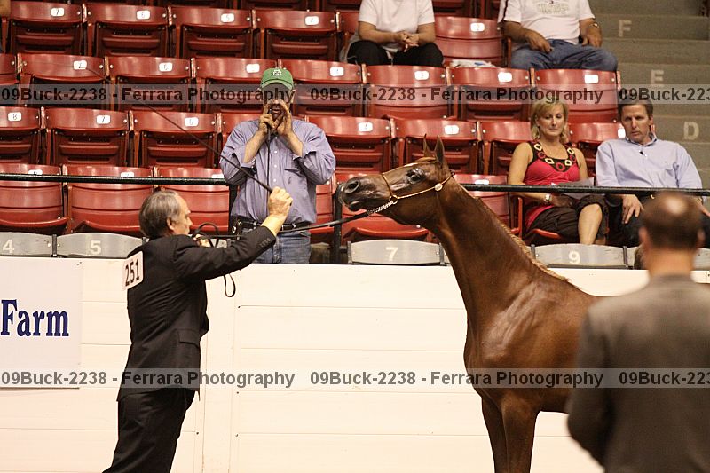 Proof 09buck-2238