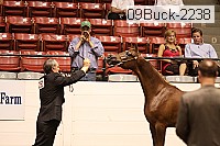 09buck-2238 proof