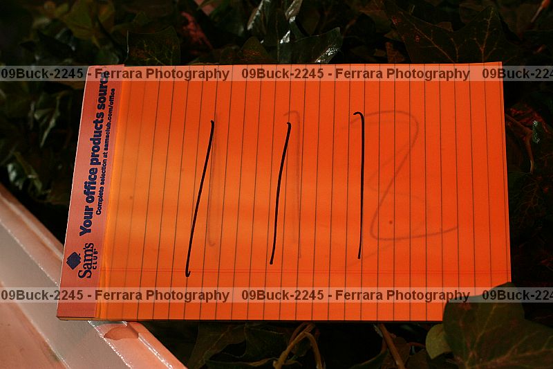Proof 09buck-2245