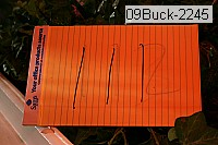 09buck-2245 proof