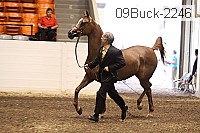 09buck-2246 proof