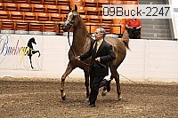 09buck-2247 proof