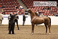 09buck-2250 proof
