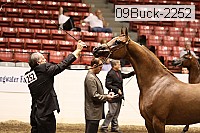 09buck-2252 proof