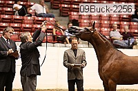 09buck-2256 proof
