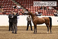 09buck-2257 proof
