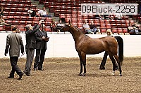09buck-2258 proof